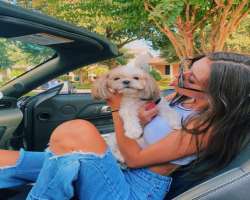 She is very fond of dogs She is very fond of dogs.